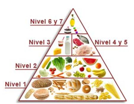 Dieta disfagia nivel 1