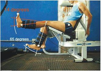 Análise comparativa da extensão unilateral do joelho com a caneleira e na cadeira  extensora: um estudo de caso