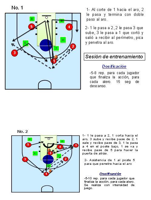 Diseño de la preparación táctica ofensiva de los baloncestistas masculinos  de la Universidad Deportiva del Sur