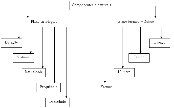 Simplificação da Estrutura Complexa do Jogo - Fases do Jogo