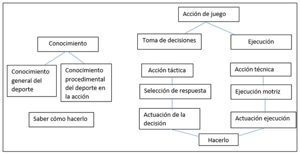 Figura 3. Método de evaluación de la táctica deportiva