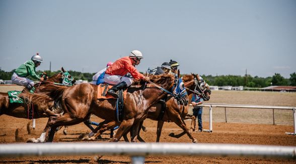 Imagen 1. La nobleza en Europa estableció las reglas específicas sobre los caballos que podían concursar, la distancia a recorrer y los premios de los ganadores