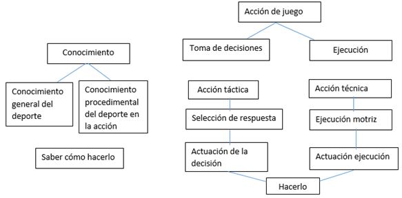 Figura 3. Método de evaluación de la táctica deportiva