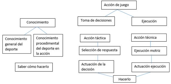 Figura 3. Método de evaluación de la táctica deportiva