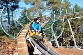 Imagem 3. Alpine Coaster