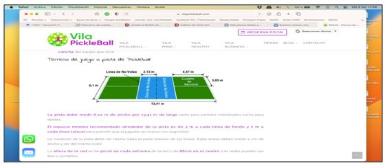 Figura 1. Terreno de juego