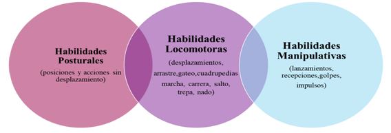 Grafico 4. Modalidades del Área de Medicación Tónico Afectiva Acción