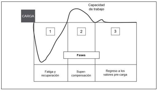Figura 1. Proceso de supercompensación