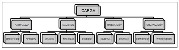 Figura 2. Componentes de la carga de entrenamiento