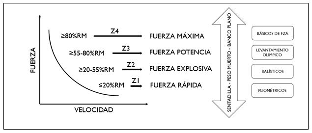 Figura 4. Zonas de entrenamiento de la Fuerza