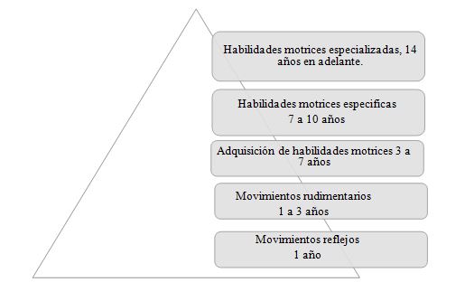 Figura 2. Proceso evolutivo del desarrollo motor