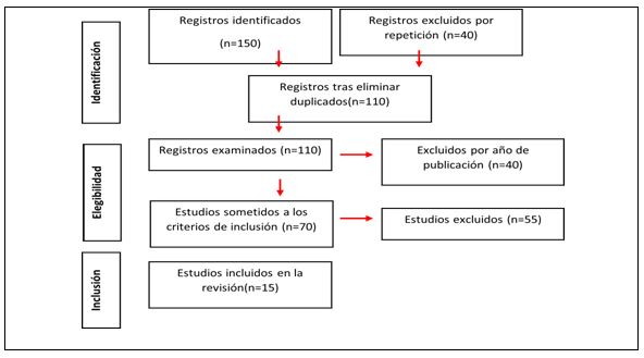 Figura 1. Diagrama de flujo (esquema)