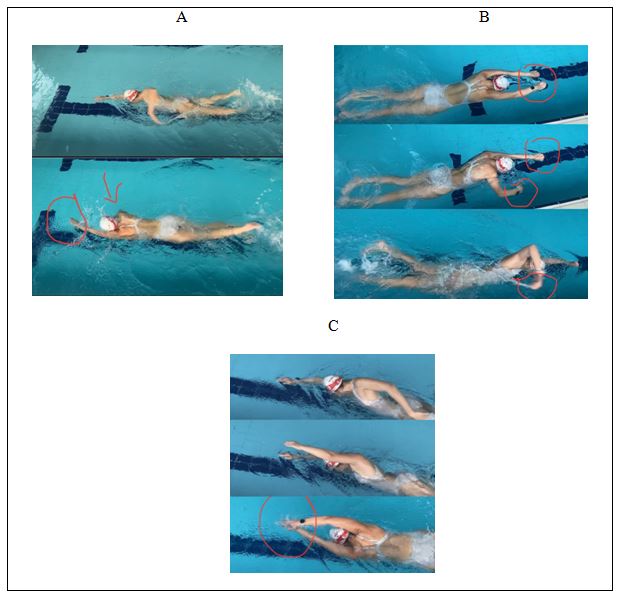 Figura 1. Execução da técnica de crol nas três condições em análise. A- nado normal; B- mãos fechadas; C- catch-up