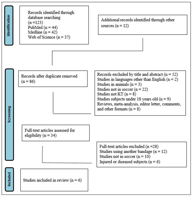 Figure 2. Flow chart following PRISMA protocol