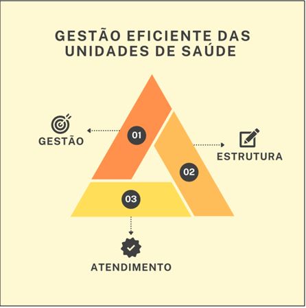 Figura 1. Eixos principais da gestão eficiente das Unidades de Saúde