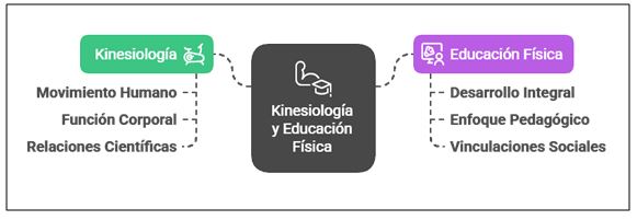 Figura 1. Entre la Educación Física y la Kinesiología