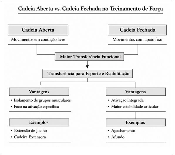 Figura 1. Modelo conceitual das adaptações ao treinamento unilateral